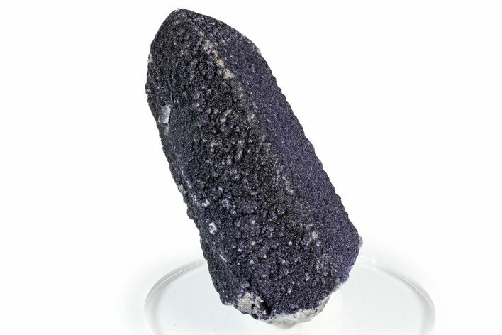 Purple Fluorite Encrusted Quartz Crystal - New Find! #350654